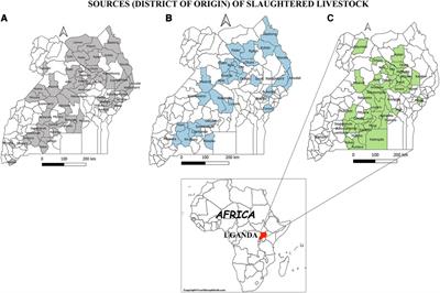 Sero-prevalence and factors associated with anti-Brucella antibodies in slaughter livestock in Uganda